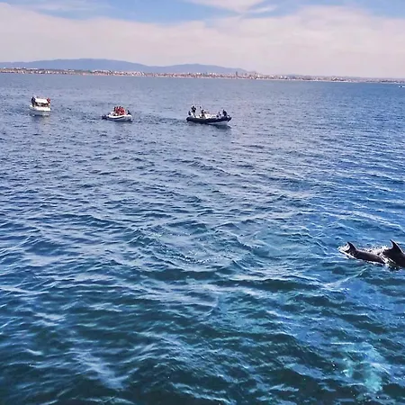 Willa Krabi By Algarve Vacation Albufeira